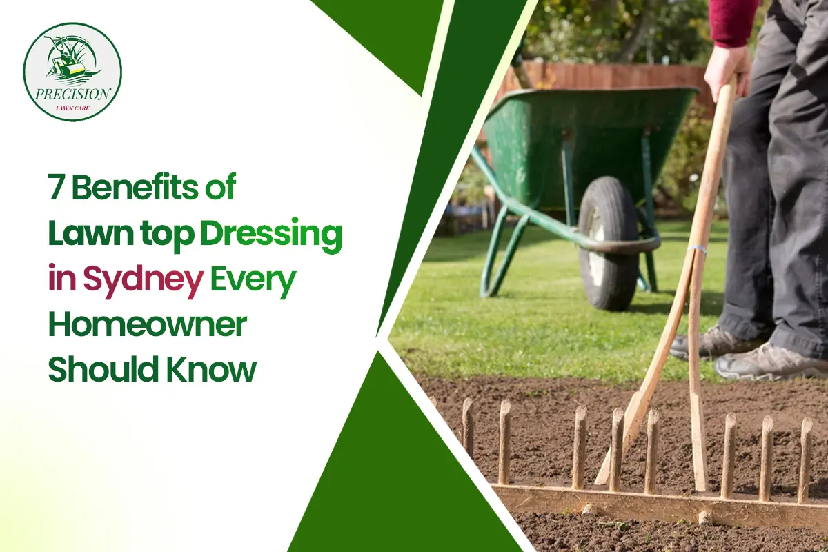 7 benefits of lawn top dressing in Sydney every homeowner should know