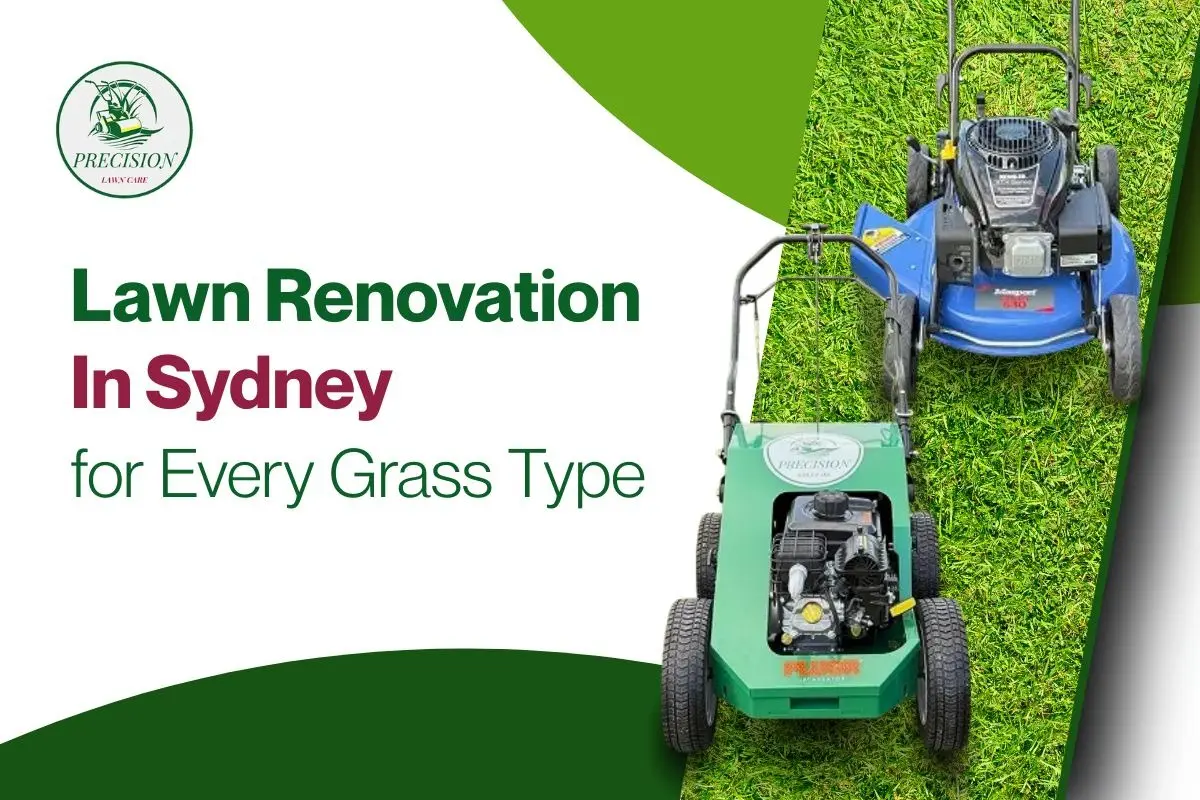 Lawn Renovation in Sydney Designed for Every Grass Type