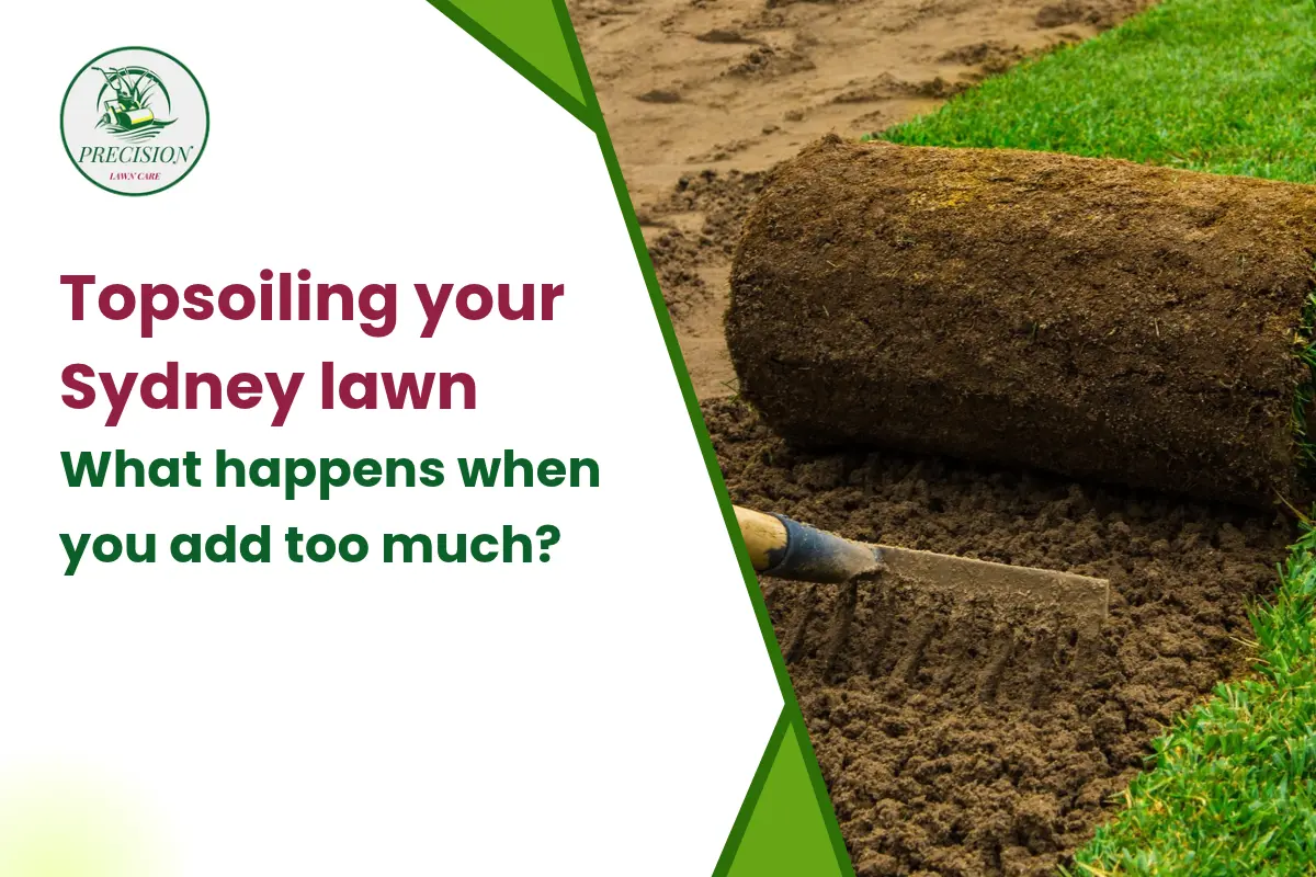 Topsoiling your Sydney lawn What happens when you add too much